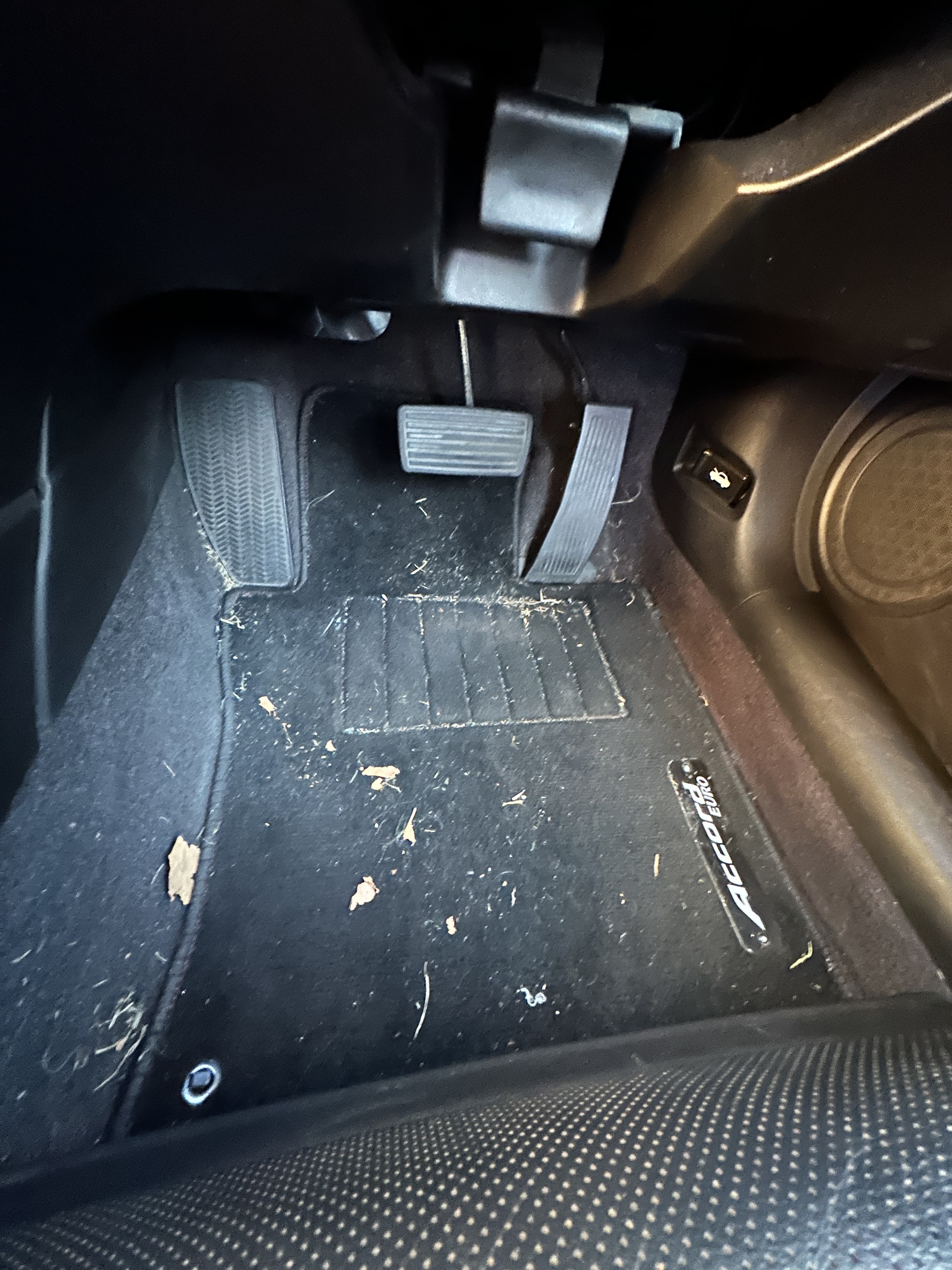Interior Before